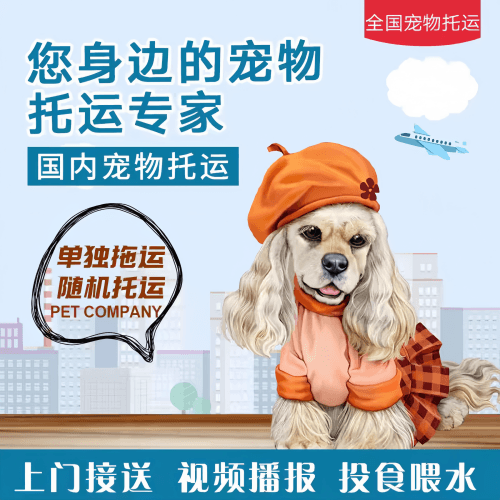满财宁德市　宠物全球达宠物托运作为专业的宠物运输代理机构